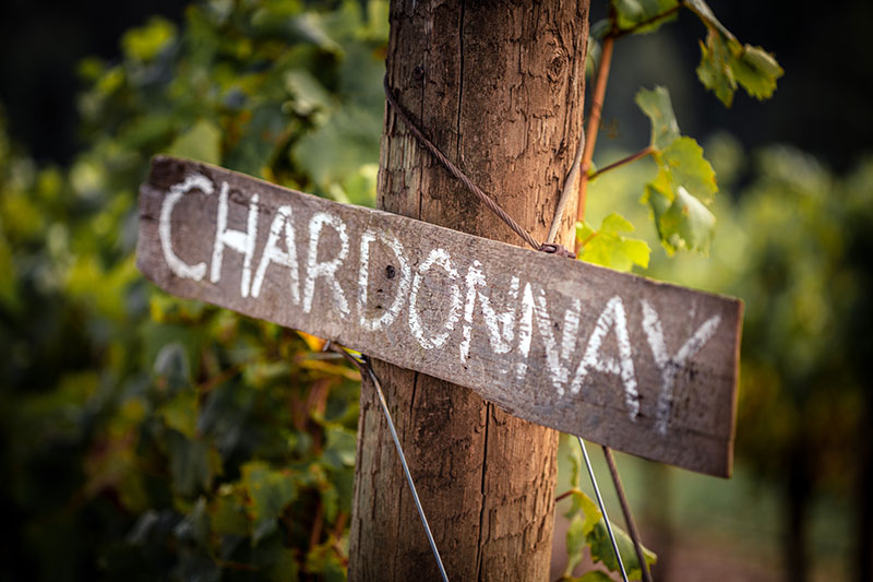 Chardonnay vineyard sign 