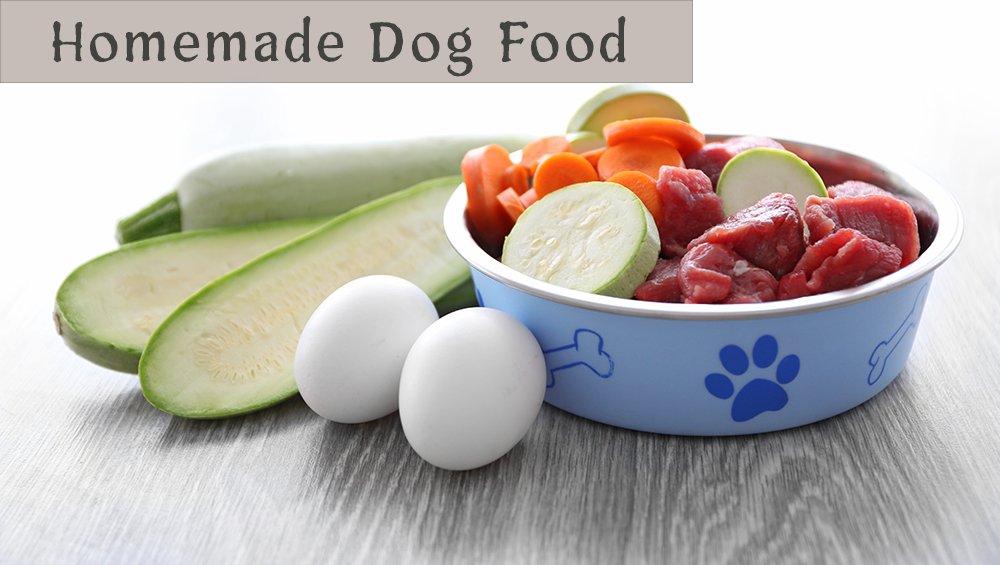 Homemade Dog Food Recipes