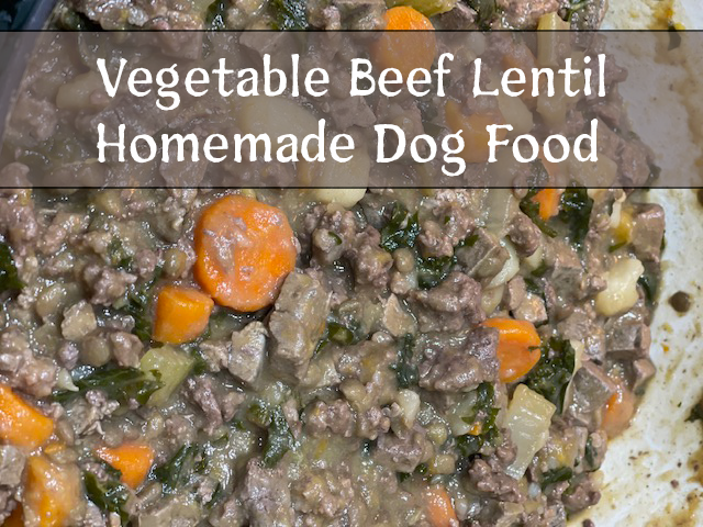 Homemade Dog Food - Vegetable Beef Lentil