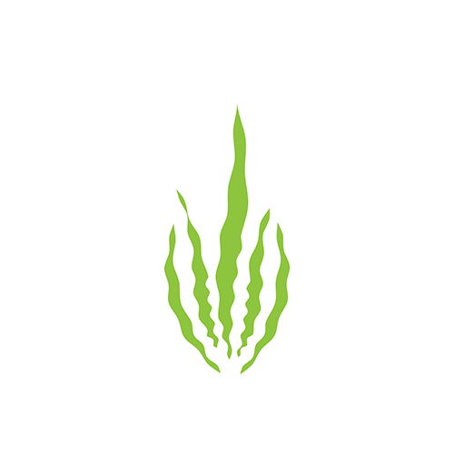 Natural green plant icon