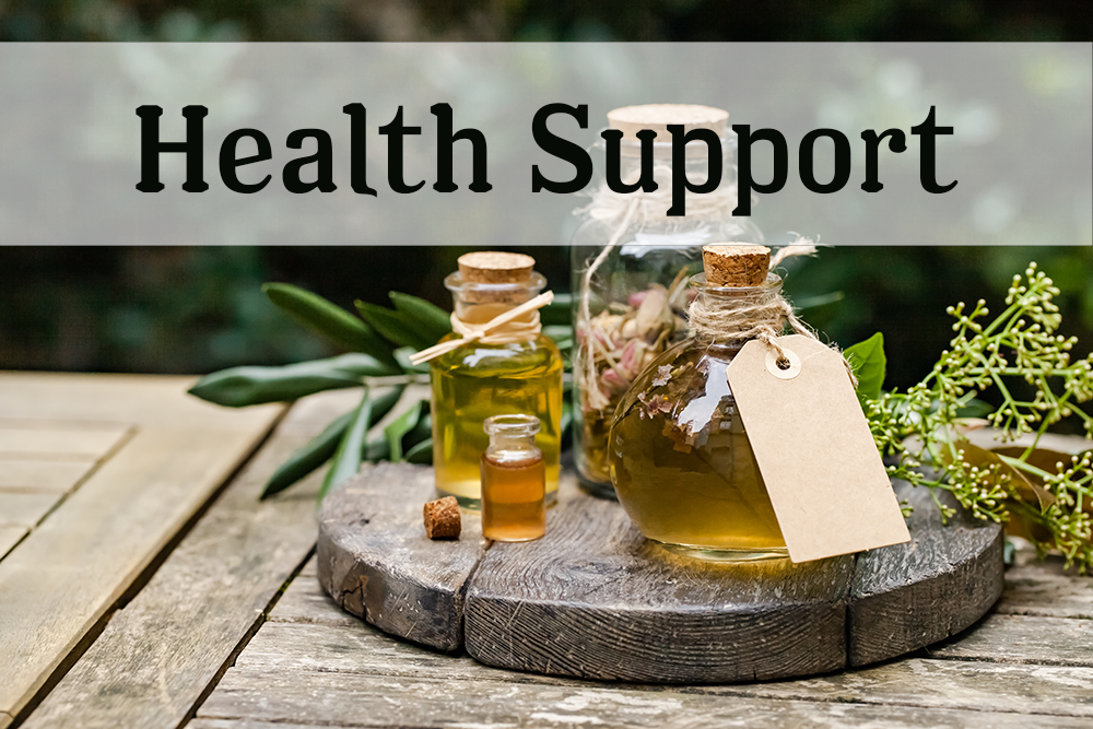 Health Support - Survival & Recovery